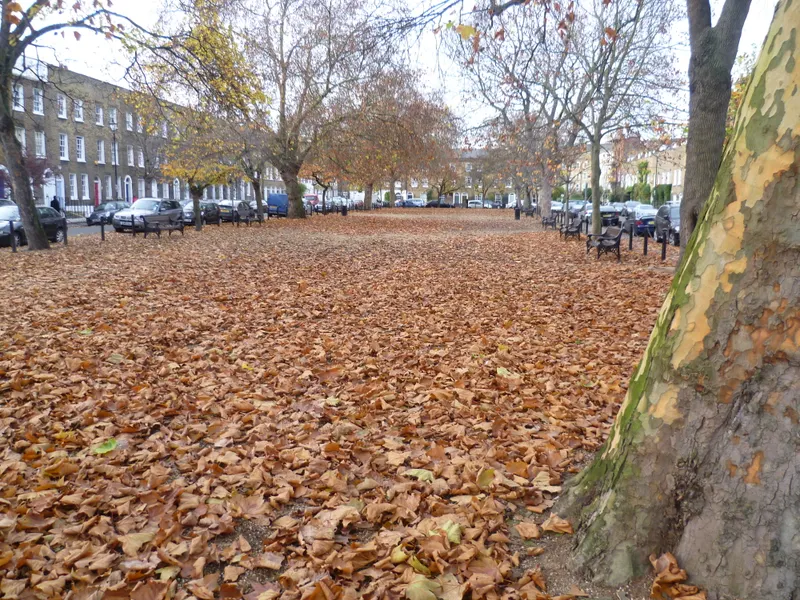 Cleaver Square